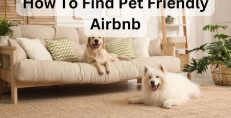 How To Find Pet Friendly Airbnb